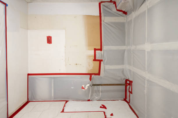 Trusted Mansfield, TX Mold Removal Experts