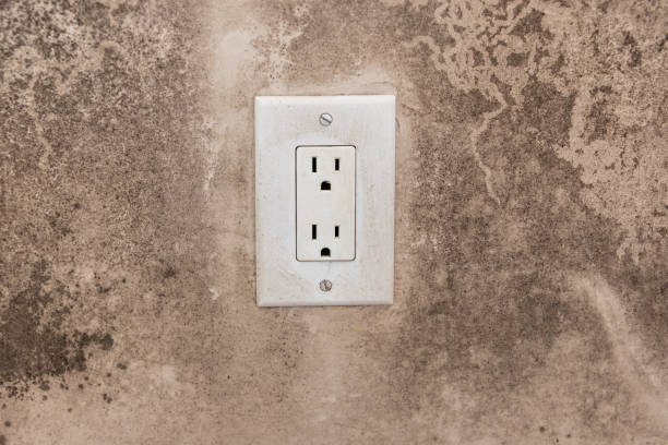  Mansfield, TX Mold Removal Pros